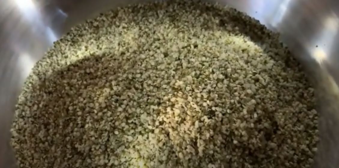 Hemp seeds pressing(Cold press) process